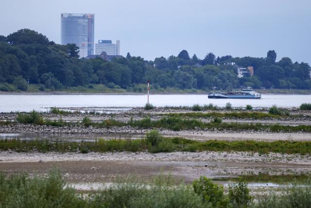 05 July 2026, nor, Oberpleis: A cargo ship sails on the Rhine. Water levels on the river are low due to the dry summer weather. In the background are the Post Tower and the Lange Eugen, the former parliament building. Photo: Thomas Banneyer/dpa