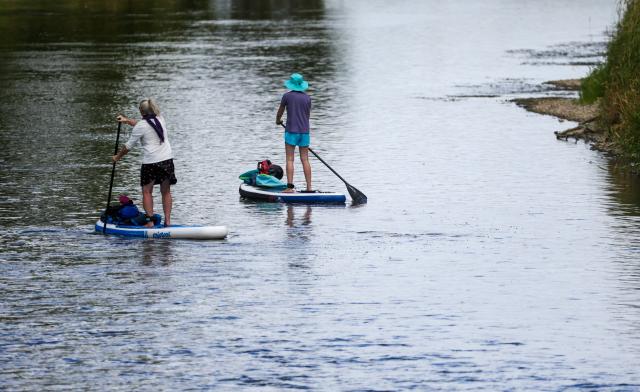 05 July 2026, Baden-Wuerttemberg, Riedlingen: Stand-up paddleboarders are on the Danube. Photo: Thomas Warnack/dpa