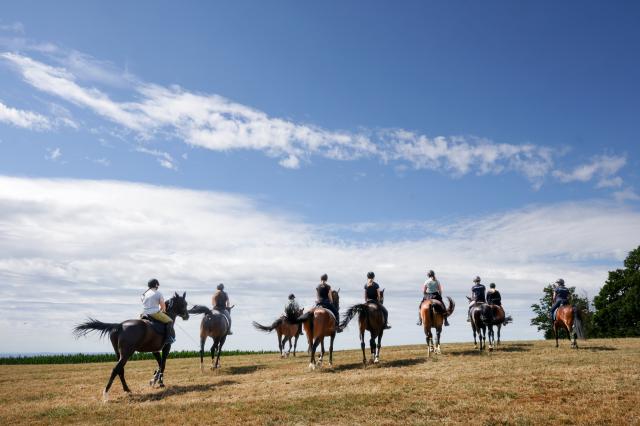 05 July 2026, Baden-Wuerttemberg, Riedlingen: Riders are out with their horses in Upper Swabia, enjoying the sunshine. Photo: Thomas Warnack/dpa