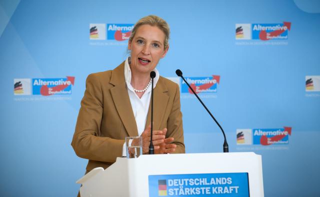 07 July 2026, Berlin: Alice Weidel, co-chair of the Alternative for Germany parliamentary group in the Bundestag, comments on current issues ahead of the parliamentary group's meeting. The Bundestag is holding its final sitting week before the summer recess. Photo: Bernd von Jutrczenka/dpa