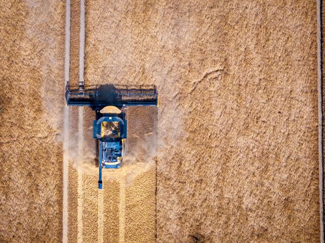 08 July 2026, Mecklenburg-Western Pomerania, Dalberg: A combine harvester works in a barley field as the harvest gets underway in northern Germany following days of rain that delayed fieldwork due to waterlogged soil and damp crops. Photo: Jens Büttner/dpa
