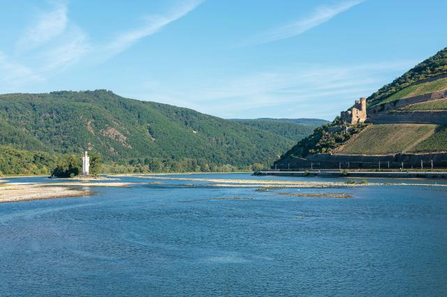 10 July 2026, Rhineland-Palatinate, Bingen am Rhein: The Rhine near Bingen am Rhein, with the Maeuseturm and the Ehrenfels Castle ruins. Water levels on the Rhine are falling. Photo: Jörg Halisch/dpa