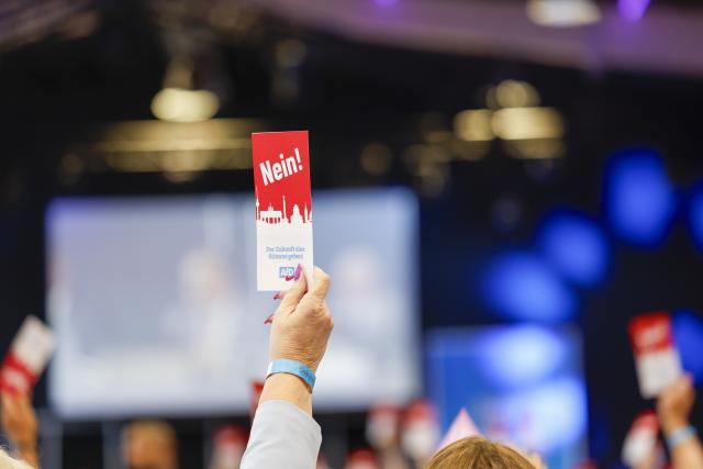 10 July 2026, North Rhine-Westphalia, Marl: Delegates from the AfD party in North Rhine-Westphalia hold up their voting cards during the meeting. The North Rhine-Westphalian AfD is beginning to draw up its list of candidates for the 2027 state election. Photo: Thomas Banneyer/dpa