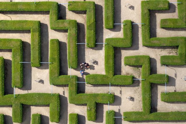 10 July 2026, Saxony, Kleinwelka: Visitors walk through the maze between the evergreen thuja hedges. Photo: Sebastian Kahnert/dpa