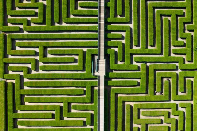 10 July 2026, Saxony, Kleinwelka: Visitors walk through the maze between the evergreen thuja hedges. Photo: Sebastian Kahnert/dpa
