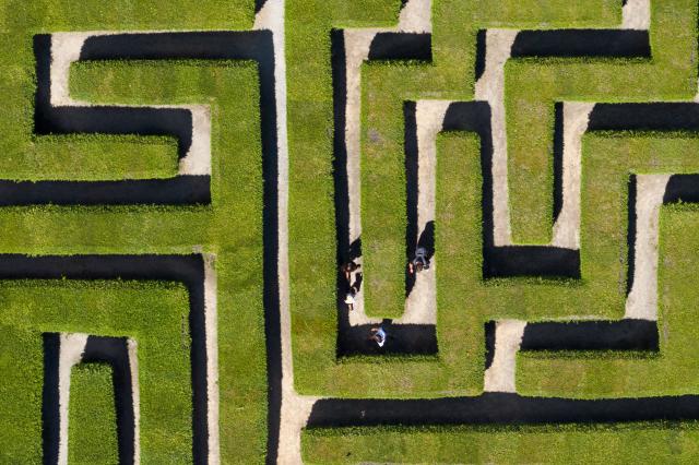 10 July 2026, Saxony, Kleinwelka: Visitors walk through the maze between the evergreen thuja hedges. Photo: Sebastian Kahnert/dpa