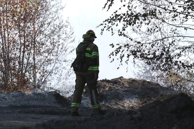 10 July 2026, Thuringia, Meuselwitz: A firefighter walks through a wooded area. The fire broke out at the end of June on the site of a former open-pit mine. Photo: Bodo Schackow/dpa