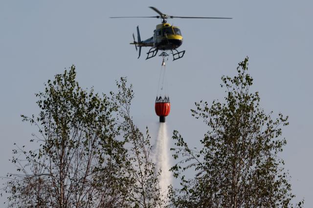 10 July 2026, Thuringia, Meuselwitz: A firefighting helicopter drops water over a forested area. The fire broke out at the end of June on a former open-pit mining site. Photo: Bodo Schackow/dpa