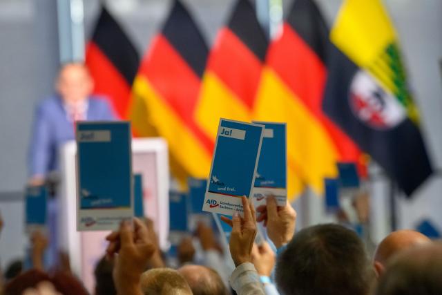 11 July 2026, Saxony-Anhalt, Magdeburg: Delegates raise their voting cards at the AfD Saxony-Anhalt state party convention. A new state executive committee is to be elected at the convention. Photo: Klaus-Dietmar Gabbert/dpa