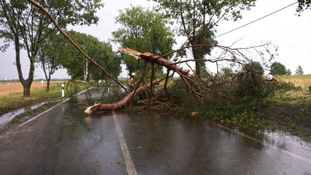 14 July 2026, Mecklenburg-Western Pomerania, Ludwigslust-Parchim: A firefighter clears a fallen branch from a road following a thunderstorm near Ludwigslust-Parchim. Photo: Ralf Drefin/SWM DV Studio/dpa