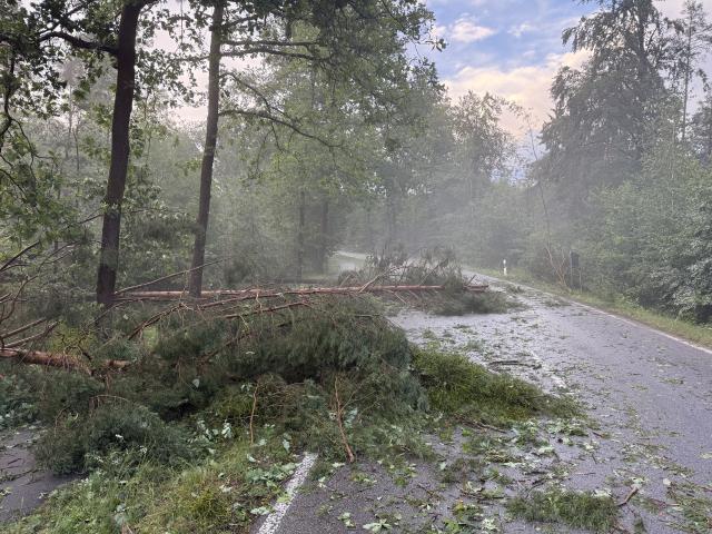 14 July 2026, Bavaria, Erlangen: Uprooted trees and fallen branches lie across a road after a thunderstorm near Erlangen. Photo: News5 / Ferdinand Merzbach/NEWS5/dpa