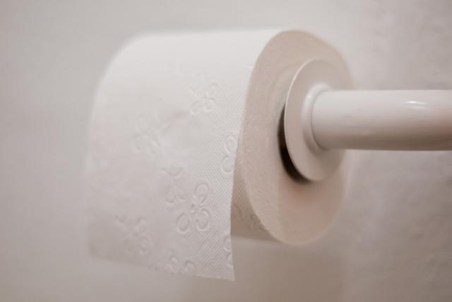 FILED - 21 January 2016, Bavaria, Nuremberg: File Photo - A roll of toilet paper hangs on a toilet paper holder. Photo: picture alliance / dpa