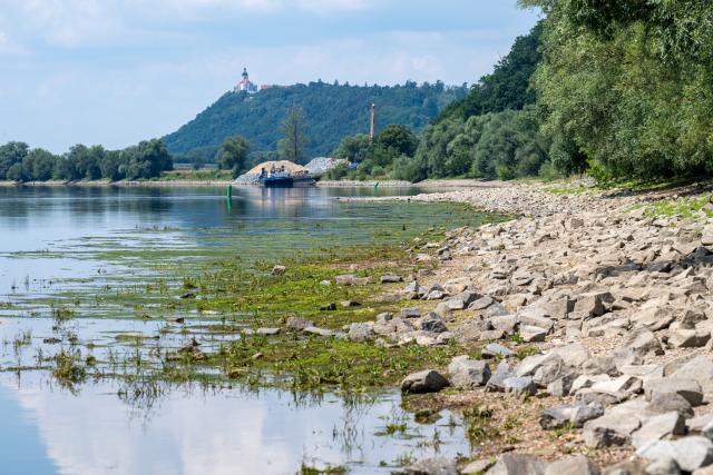 15 July 2026, Bavaria, Pfelling: The low water level of the Danube is exposing sandbars. Photo: Armin Weigel/dpa