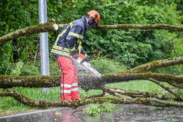 15 July 2026, Baden-Wuerttemberg, Friedrichshafen: A member of the fire department unit removes fallen tree trunks after severe thunderstorms at Lake Constance. Photo: Jason Tschepljakow/dpa