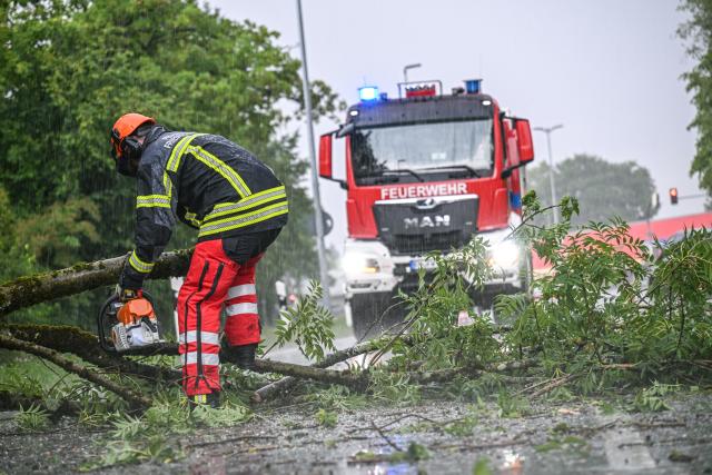 15 July 2026, Baden-Wuerttemberg, Friedrichshafen: A member of the fire department unit removes fallen tree trunks after severe thunderstorms at Lake Constance. Photo: Jason Tschepljakow/dpa