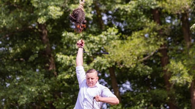 26 July 2026, Brandenburg, Burg: Eighteen-year-old Max Lehmann from Burg tore off the head of a dead, bled-out rooster hanging from a pole during the traditional Sorbian-Wendish rooster-plucking contest at the harvest festival in the Spreewald. Photo: Frank Hammerschmidt/dpa