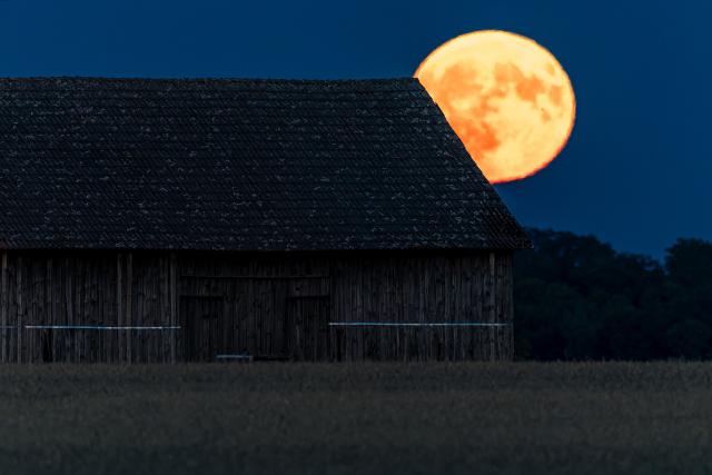 29 July 2026, Brandenburg, Leuthen: The full moon rises behind a barn standing at the edge of a field. Photo: Frank Hammerschmidt/dpa