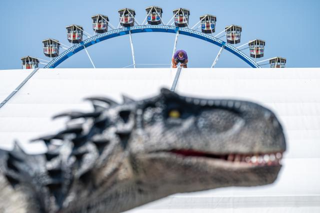 31 July 2026, Bavaria, Straubing: A construction technician works to assemble a massive festival beer tent on the fairgrounds of the Gaeubodenvolksfest. In the foreground, a giant model dinosaur from an amusement ride towers over the work site as logistics crews accelerate preparations for the historic Bavarian folk festival, which is scheduled to run from August 7 to 17. Photo: Armin Weigel/dpa