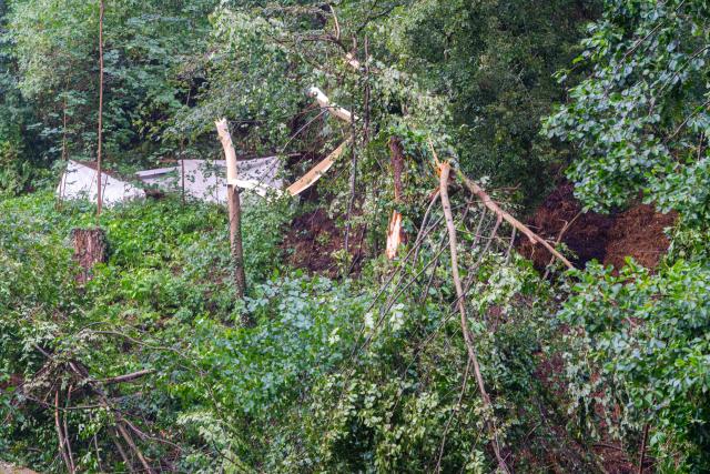 31 July 2026, Saxony, Rathen: A tree has snapped near the Rathen Rock Theater, where a man has died in a storm in Saxony after killing by a fallen tree. Photo: Jonas Schubert/xcitepress/dpa