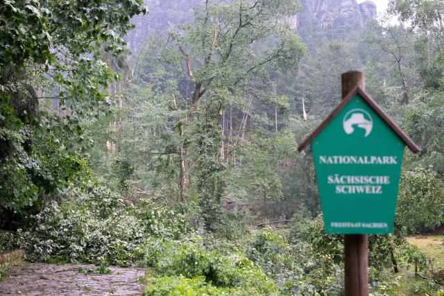 01 August 2026, Saxony, Rathen: Storm damage in Amselgrund in the Saxon Switzerland National Park. Following the severe storm, which left one person dead and three seriously injured, the national park is closed to visitors. Photo: Sebastian Kahnert/dpa