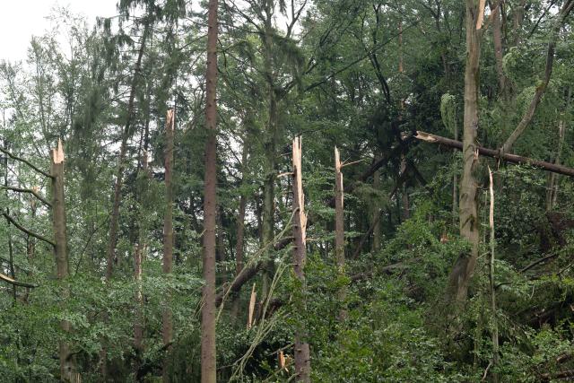 01 August 2026, Saxony, Rathen: Storm damage in Amselgrund in the Saxon Switzerland National Park. Following the severe storm, which left one person dead and three seriously injured, the national park is closed to visitors. Photo: Sebastian Kahnert/dpa