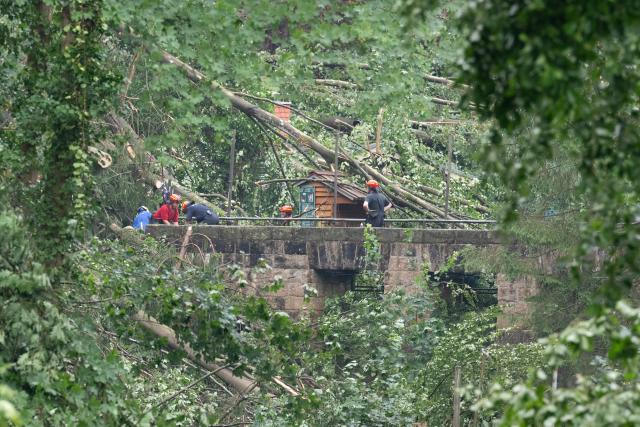 01 August 2026, Saxony, Rathen: Firefighters are clearing up storm damage in Amselgrund in Saxon Switzerland National Park. Following the severe storm, which left one person dead and three seriously injured, the national park is closed to visitors. Photo: Sebastian Kahnert/dpa