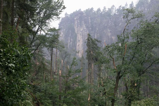 01 August 2026, Saxony, Rathen: Storm damage in Amselgrund in the Saxon Switzerland National Park. Following the severe storm, which left one person dead and three seriously injured, the national park is closed to visitors. Photo: Sebastian Kahnert/dpa