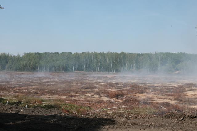 04 August 2026, Thuringia, Meuselwitz: Smoke is rising from a forested area. The cause is an underground smoldering fire in a coal seam at a former open-pit mining site. The fire broke out in late June. An informational meeting organized by the Lausitz and Central German Mining Administration Company will take place this evening. Photo: Bodo Schackow/dpa
