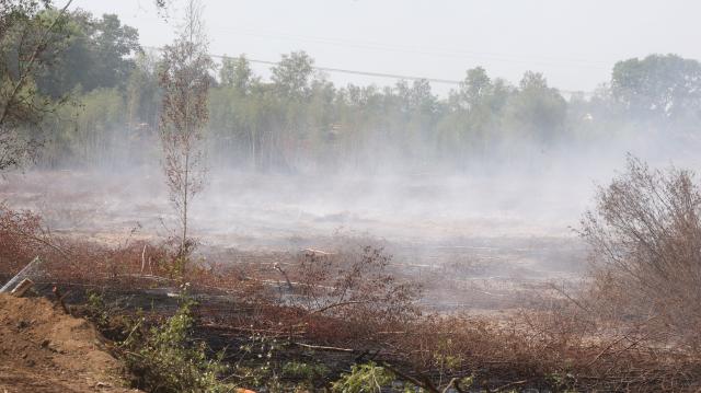 04 August 2026, Thuringia, Meuselwitz: Smoke rises from a forested area while sprinklers keep the ground moist. The cause is an underground smoldering fire in a coal seam at a former open-pit mining site. The fire broke out in late June. An informational meeting organized by the Lausitz and Central German Mining Administration Company will take place this evening. Photo: Bodo Schackow/dpa