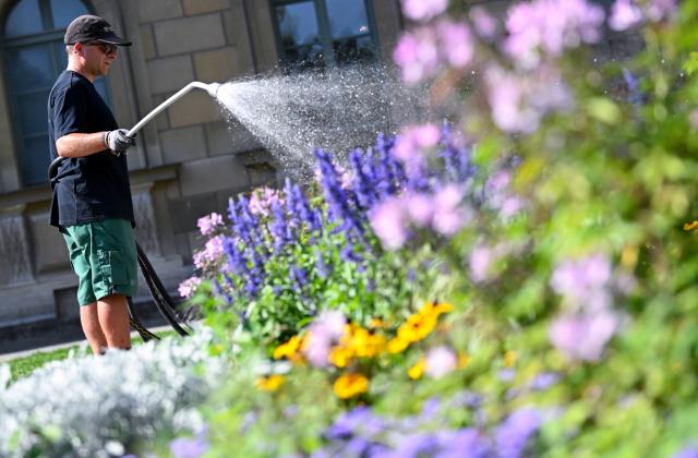 05 August 2026, Bavaria, Munich: A gardener waters the flowers in the Hofgarten. Photo: Sven Hoppe/dpa