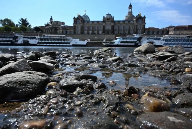 05 August 2026, Saxony, Dresden: Rocks lie on the dried-up banks of the Elbe River against the backdrop of Dresden's historic Old Town. The water level is currently 56 centimeters. Photo: Katharina Kausche/dpa