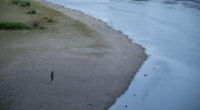 05 August 2026, Saxony, Dresden: A tourist from Austria is walking along the dry riverbank in Dresden toward the Elbe. The water level is currently 56 centimeters. Photo: Katharina Kausche/dpa