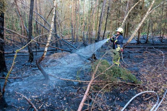 05 August 2026, Hesse, Bad Schwalbach: Firefighters battle a forest fire near Bad Schwalbach. Photo: Jörg Halisch/dpa