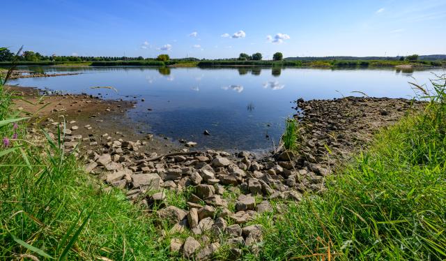 08 August 2026, Brandenburg, Frankfurt (Oder): The drop in the water level is clearly visible along the banks of the Oder River. The ongoing drought is leaving a clear mark on the German-Polish border. In Frankfurt (Oder), the water level of the border river has dropped to just 88 centimeters. Photo: Patrick Pleul/dpa