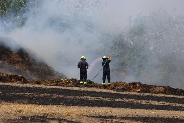 10 August 2026, Thuringia, Hohenleuben: Firefighters battle a field fire. Two firefighters who inhaled smoke sustained minor injuries. Photo: Bodo Schackow/dpa