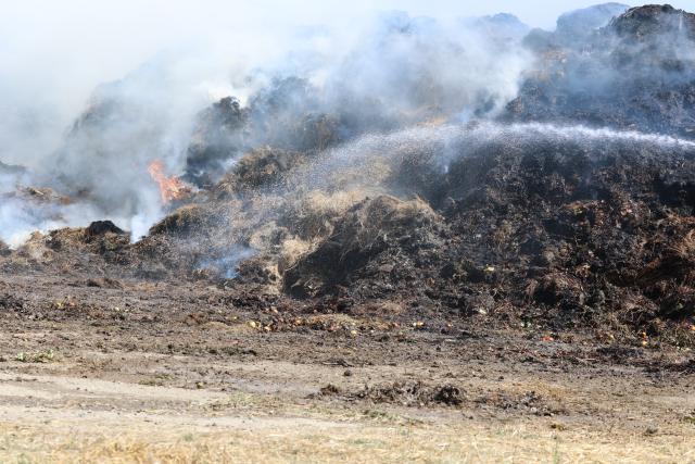 10 August 2026, Thuringia, Hohenleuben: Firefighters battle a field fire. Two firefighters who inhaled smoke sustained minor injuries. Photo: Bodo Schackow/dpa