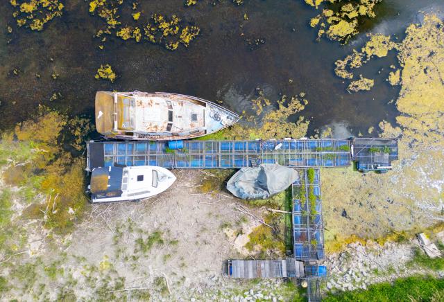 09 August 2026, Rhineland-Palatinate, Nackenheim: Boats stranded in the harbor on a tributary of the Rhine due to low water levels. Photo: Boris Roessler/dpa