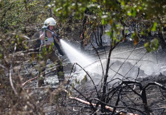 10 August 2026, Hesse, Bad Schwalbach: A firefighter battles a wildfire in the Rheingau. Photo: Boris Roessler/dpa