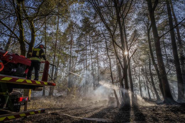 10 August 2026, Hesse, Rodenbach: A firefighter battles a fire in a wooded area between Oberrodenbach and Niederrodenbach. Photo: Andreas Arnold/dpa