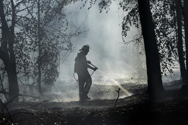 10 August 2026, Hesse, Rodenbach: A firefighter works to extinguish a fire in a wooded area. Photo: Andreas Arnold/dpa