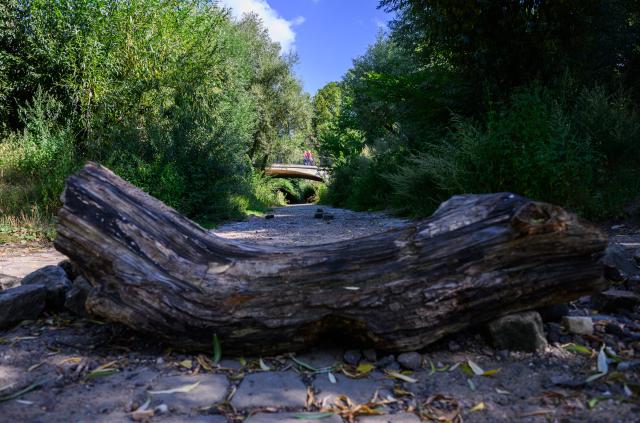 11 August 2026, Saxony, Dresden: The riverbed of the Priessnitz at its confluence with the Elbe has dried up. Photo: Robert Michael/dpa