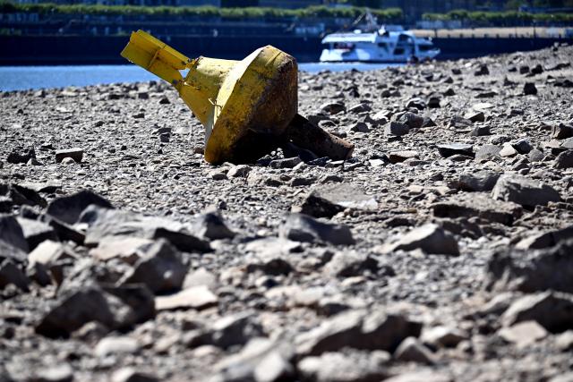 11 August 2026, North Rhine-Westphalia, Duesseldorf: A yellow buoy lies stranded on the bank of the Rhine due to low water levels. Photo: Federico Gambarini/dpa