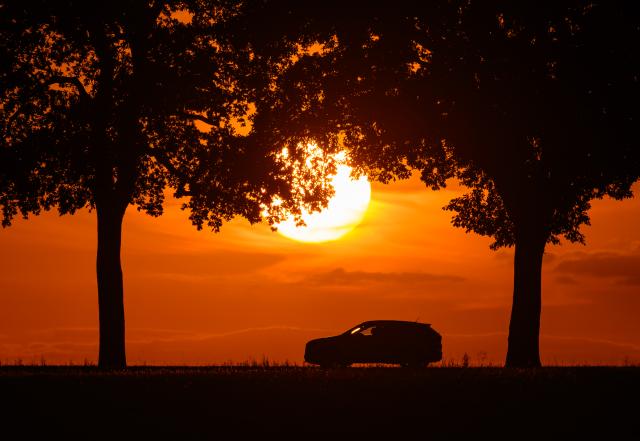 11 August 2026, Brandenburg, Sieversdorf: A car drives down a tree-lined avenue in eastern Brandenburg against the backdrop of a colorful sunset. Photo: Patrick Pleul/dpa