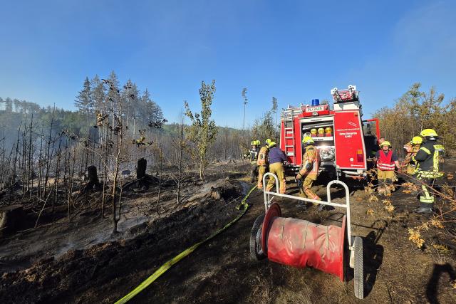 12 August 2026, Saxony, Plauen: Firefighters respond to a fire in a forested area in the Vogtland district. The fire in the "Schwarzes Holz" area has spread across about seven hectares, terrain that is very difficult to access due to hilly ground and dense underbrush, according to the Plauen city administration. Photo: Mike Müller/dpa
