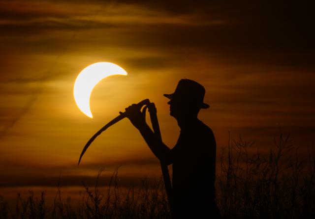 12 August 2026, Brandenburg, Jacobsdorf: A farmer holding a scythe stands in a meadow before the solar eclipse. According to the German Weather Service, when the partial solar eclipse is visible over Germany this evening, weather conditions will be ideal for viewing it almost everywhere at that time. Photo: Patrick Pleul/dpa