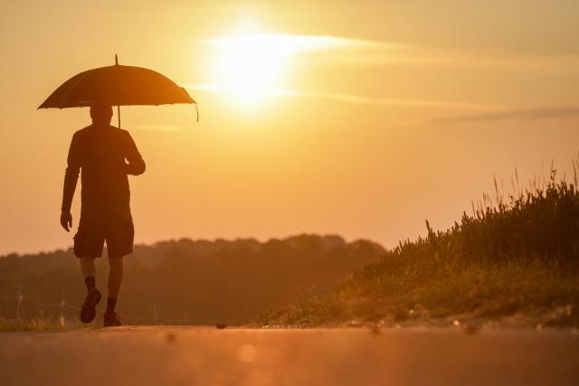 FILED - 28 June 2026, Baden-Württemberg, Riedlingen: FILE PHOTO - A man walks with a parasol in the morning. Photo: Thomas Warnack/dpa