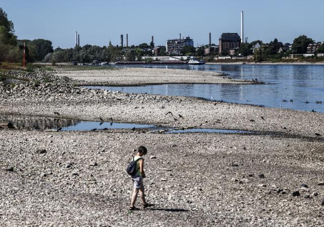 13 August 2026, North Rhine-Westphalia, Cologne: A woman walks along the banks of the Rhine River during low water levels. Photo: Oliver Berg/dpa