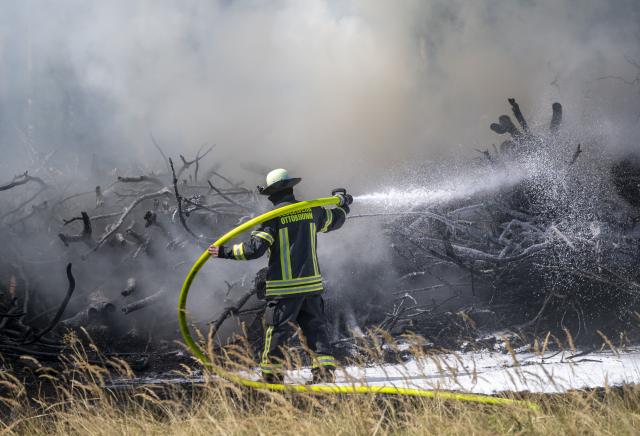 13 August 2026, Bavaria, Brunnthal: A firefighter extinguishes a brush fire in the area between Sauerlach and Hofolding. Photo: Peter Kneffel/dpa