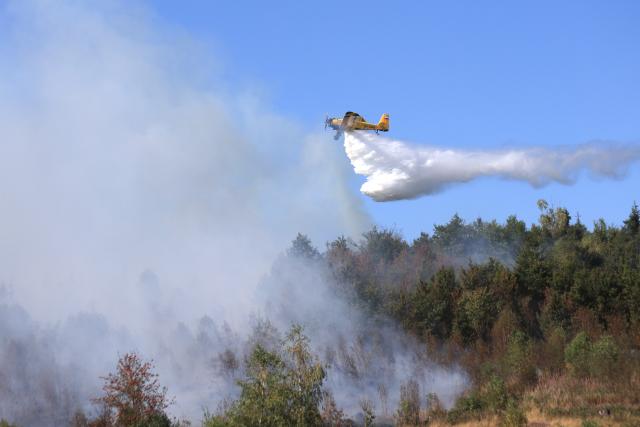 13 August 2026, Saxony-Anhalt, Benneckenstein: The firefighting plane Hexe 1 drops water over a forest near Benneckenstein. Photo: Matthias Bein/dpa