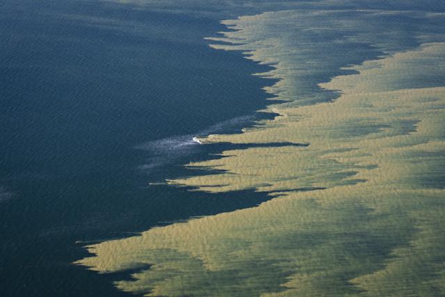 13 August 2026, Mecklenburg-Western Pomerania, Zingst: Streaks of so-called blue-green algae (cyanobacteria) have formed north of Zingst in the Baltic Sea. Photo: Philip Dulian/dpa